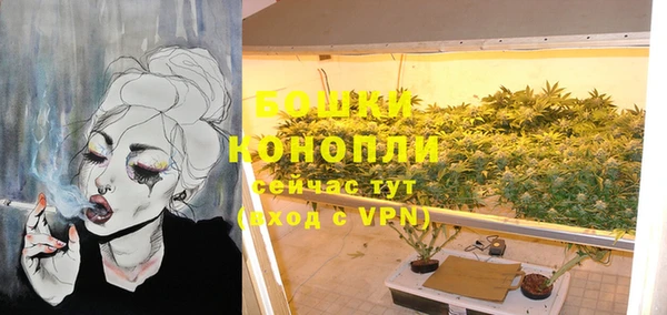 метадон Горняк