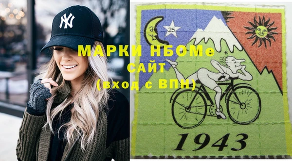 шишки Чегем