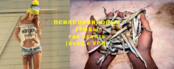 прущая мука Гусь-Хрустальный